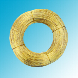 世界怎么了？黃銅圓線得多讀書(shū)多看報(bào)了